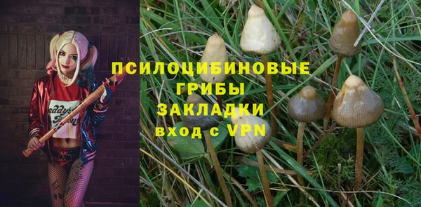 молекула духа Богородск
