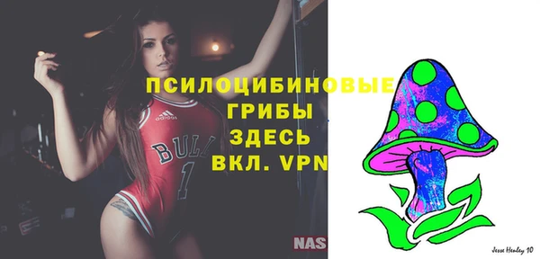 мдма Богородицк