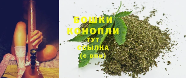 амф Богданович